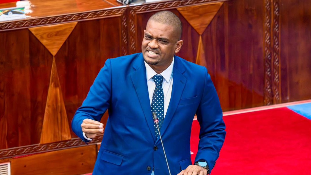NDEJEMBI: TUTATIMIZA MAONO YA RAIS SAMIA...