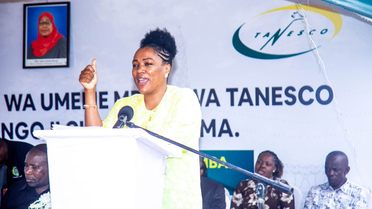 TANESCO NA REA; WANANCHI WANAOLIPIA UMEM...